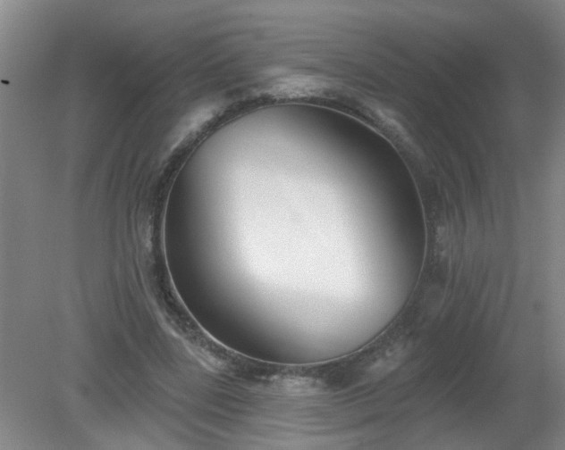 X0000079290539200611251650