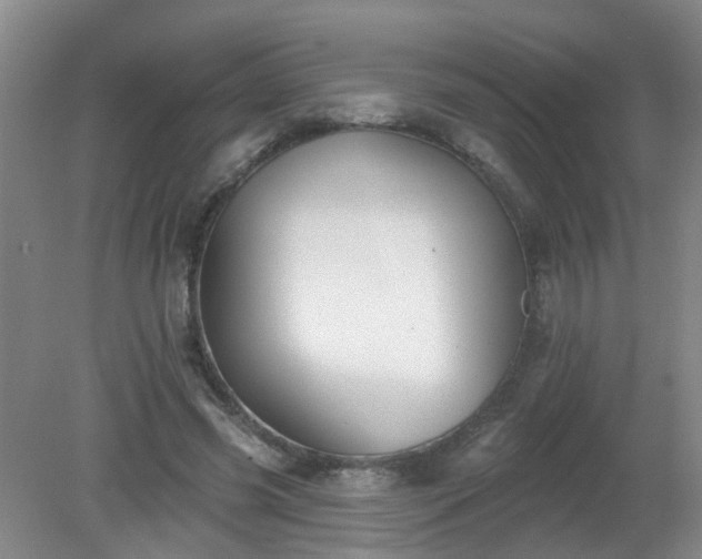 X0000079290541200611251650