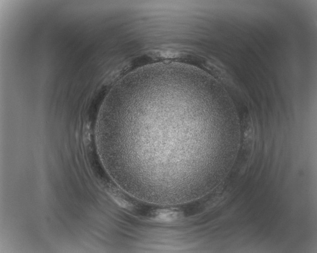 X0000079290555200611251650