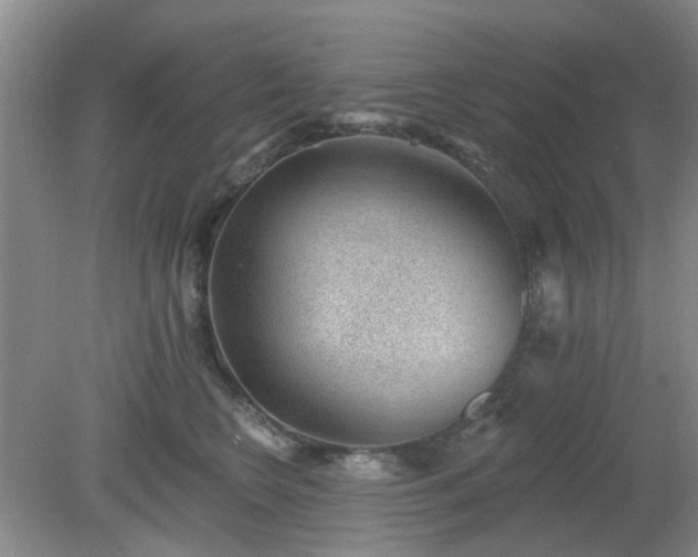 X0000079290566200611251650