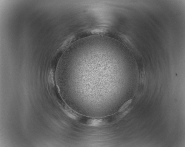 X0000079290575200611251650