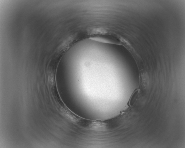 X0000079290617200611251649