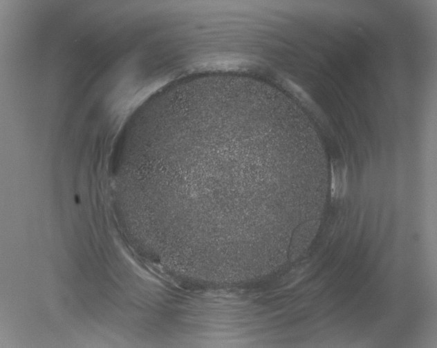 X0000079290627200611251648
