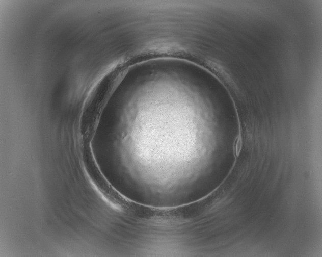 X0000079290630200611251648