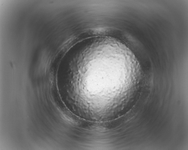 X0000079290648200611251648