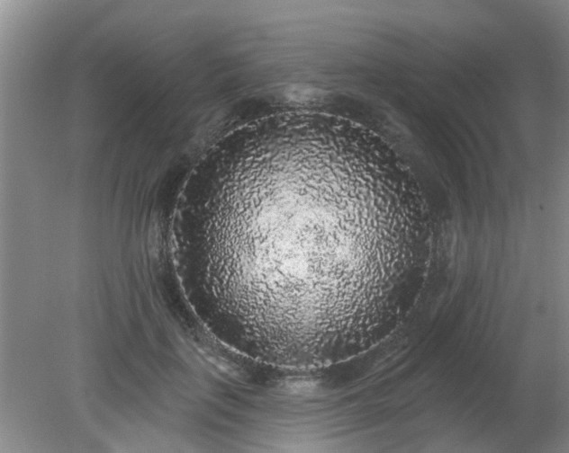 X0000079290651200611251648