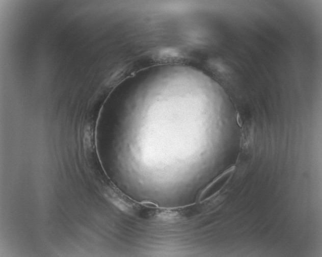 X0000079290669200611251649