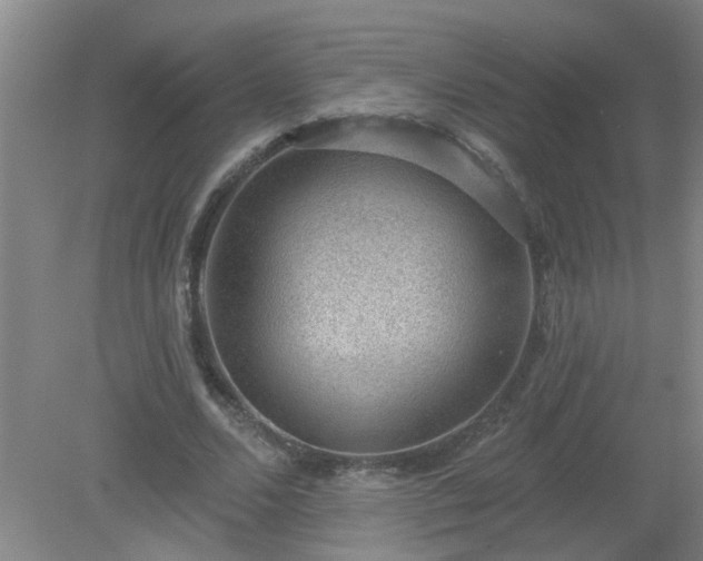X0000079290680200611251648