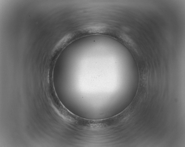 X0000079290686200611251648