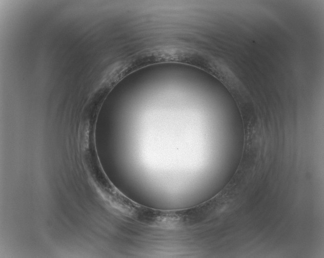 X0000079290694200611251647