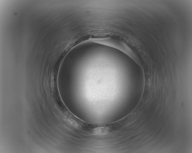 X0000079290700200611251647