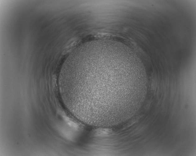 X0000079290711200611251647