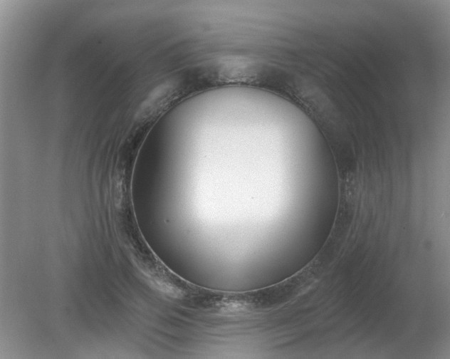 X0000079290741200611251647