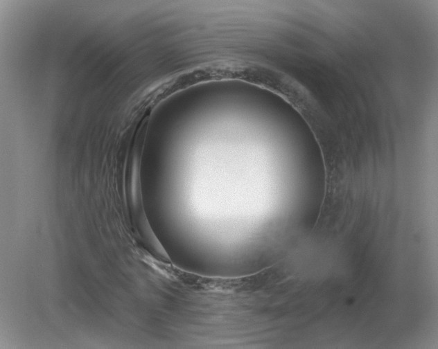 X0000079290773200611251646