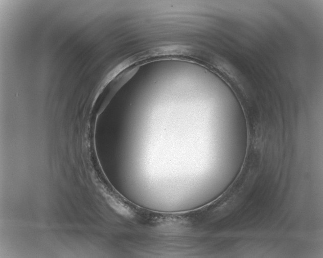 X0000079290786200611251646
