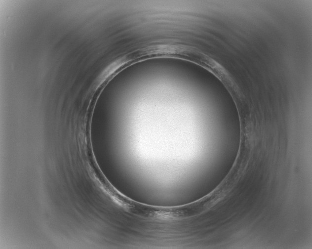 X0000079290794200611251646