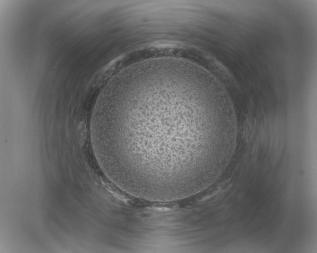 X0000079290821200611251645