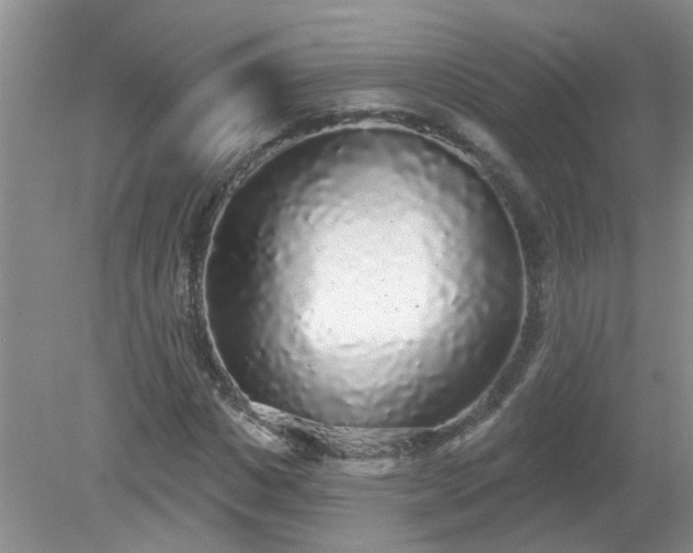 X0000079290825200611251645