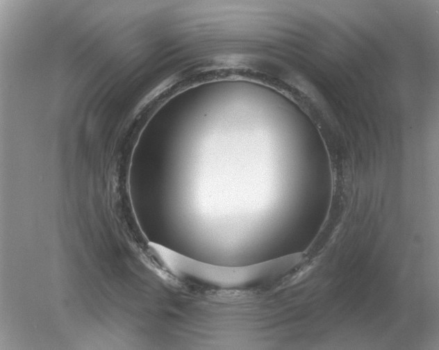 X0000079290826200611251645