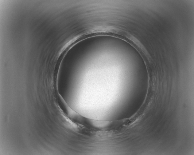 X0000079290834200611251645