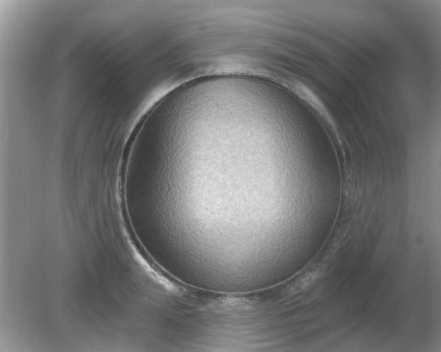 X0000079290847200611251645