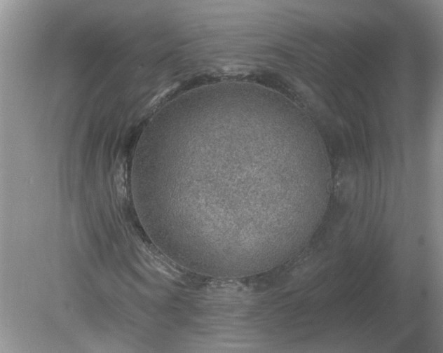 X0000079290866200611251645