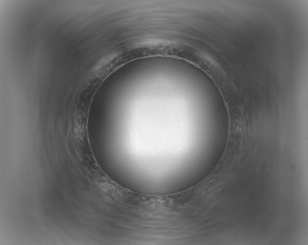 X0000079290869200611251645