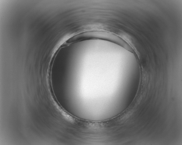 X0000079290901200611251644