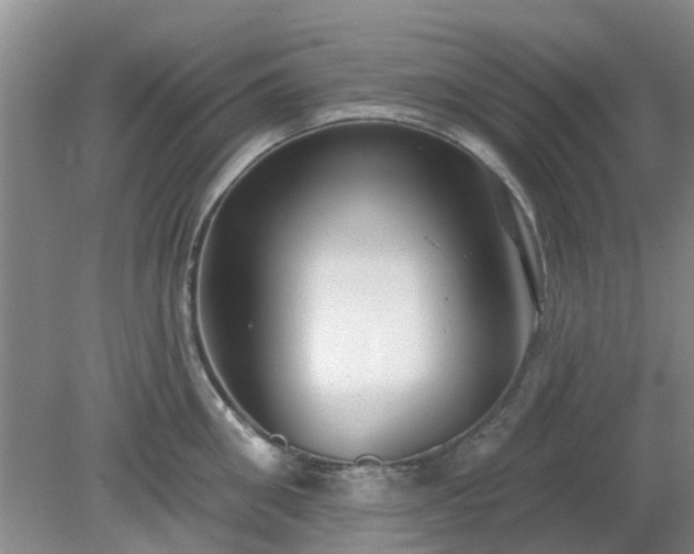 X0000079290906200611251644