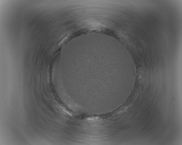X0000079290916200611251643