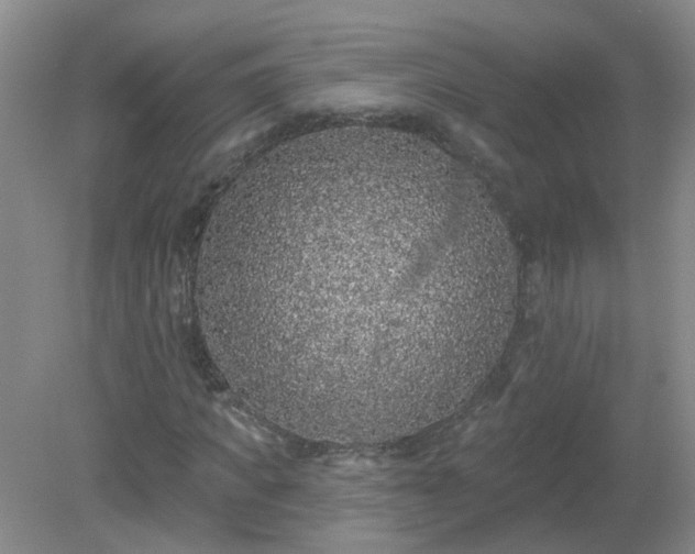 X0000079290917200611251643