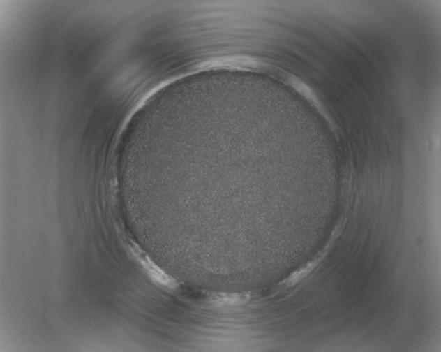 X0000079290923200611251643