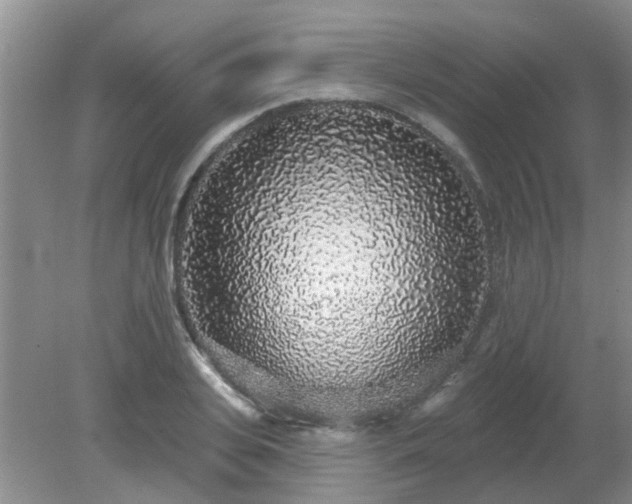 X0000079290935200611251643