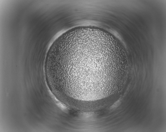 X0000079290943200611251644
