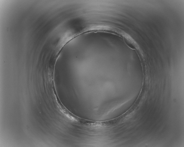 X0000079290945200611251644