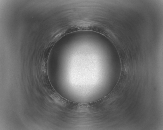 X0000079290964200611251643