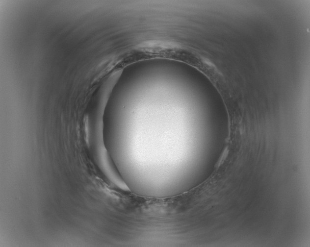 X0000079290965200611251643