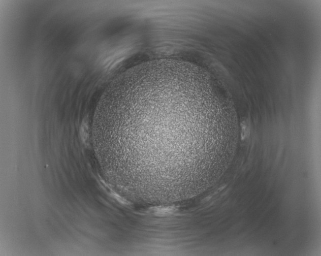 X0000079291011200611251641