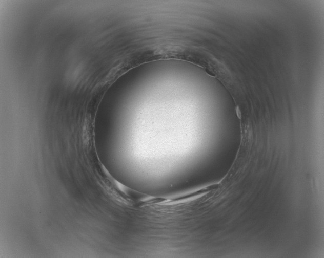 X0000079291012200611251641