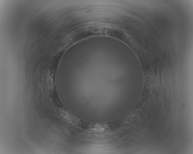 X0000079291013200611251641