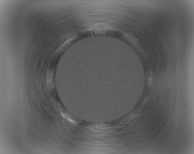 X0000079291060200611251641