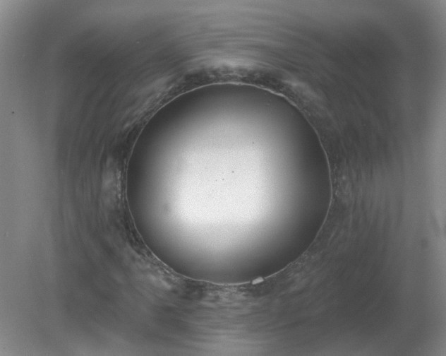 X0000079291061200611251641