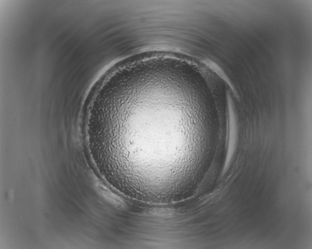 X0000079291068200611251641