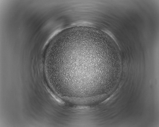 X0000079291115200611251640