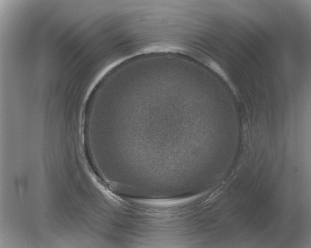 X0000079291124200611251640
