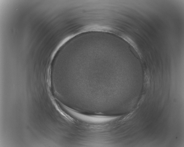 X0000079291128200611251640