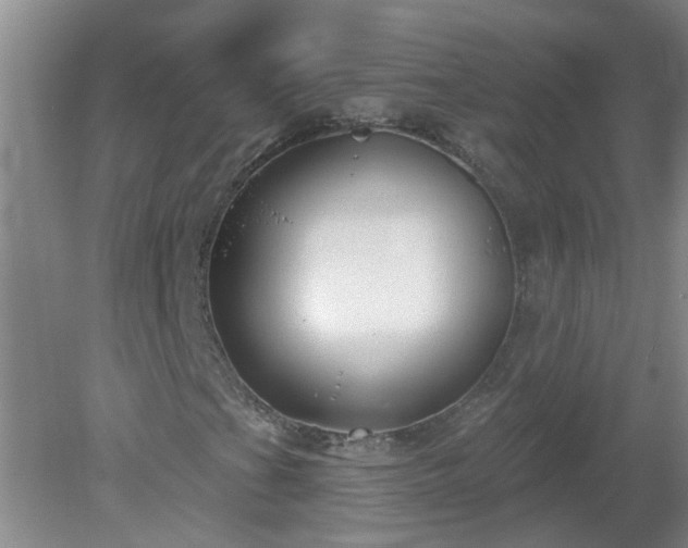 X0000079291201200611251638