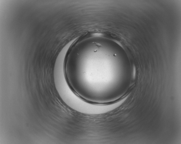 X0000079291202200611251638