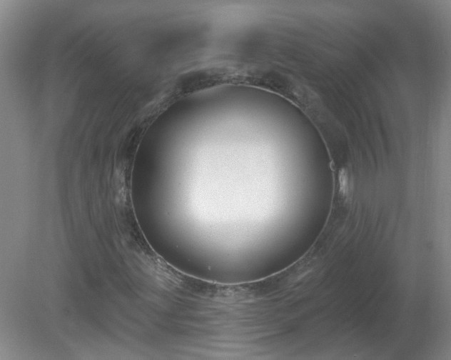 X0000079291203200611251638