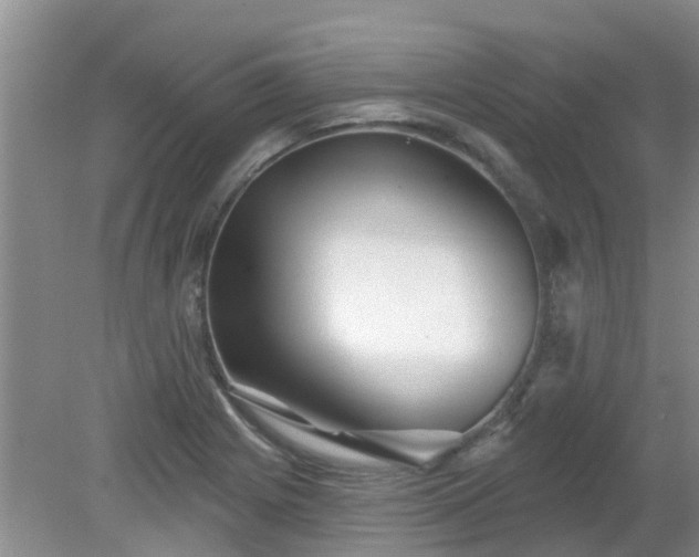 X0000079291225200611251639